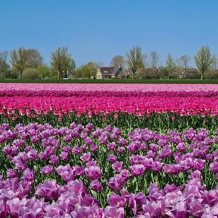 5a Op Recreatiepark De Wielen Σαλέ Άγιος Μαρτίνος
